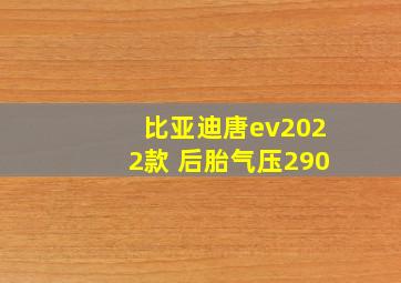 比亚迪唐ev2022款 后胎气压290